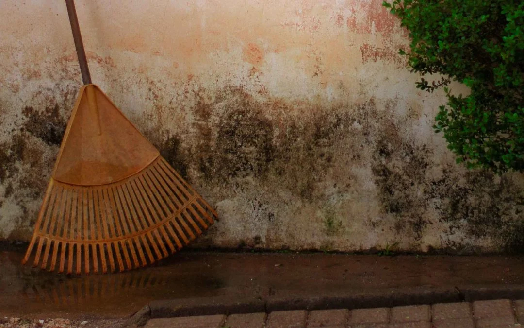 How a Clean Workplace Boosts Employee Productivity and Morale